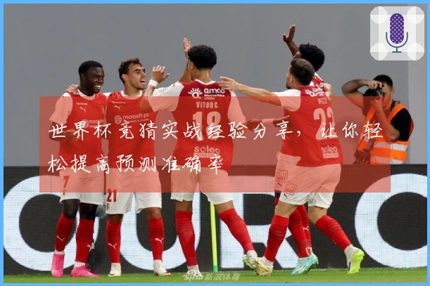 世界杯竞猜实战经验分享，让你轻松提高预测准确率