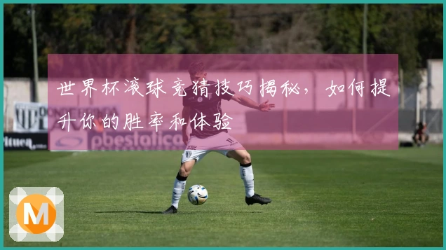 世界杯滚球竞猜技巧揭秘，如何提升你的胜率和体验