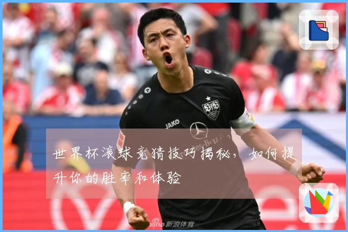 世界杯滚球竞猜技巧揭秘，如何提升你的胜率和体验